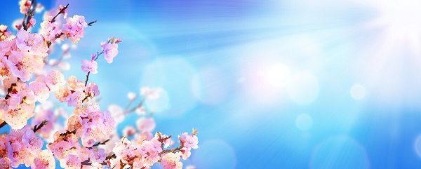 戰(zhàn)疫情，北京韋林公司全體員工齊心協(xié)力共克時(shí)艱！